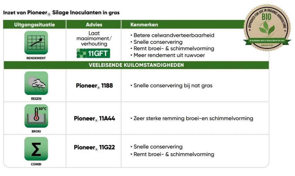 Ruwvoer: de belangrijke basis van het rantsoen!