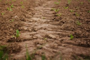 Bodemverdichting: Checklist helpt boer en loonwerker