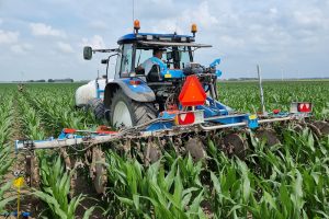 De meerwaarde van gedeelde bemesting: Boeren hebben geen idee hoeveel mais ze eigenlijk van een perceel halen
