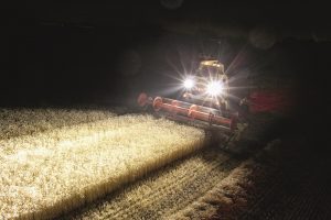 Verlichting in oogsttijd: Slimme lampenkeuze voorkomt verblinding