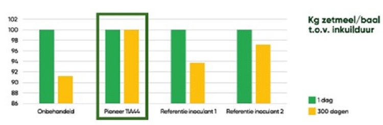 Optimaliseer het rendement van uw (verdroogde) maiskuil met 4 tips