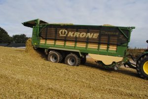 Krone