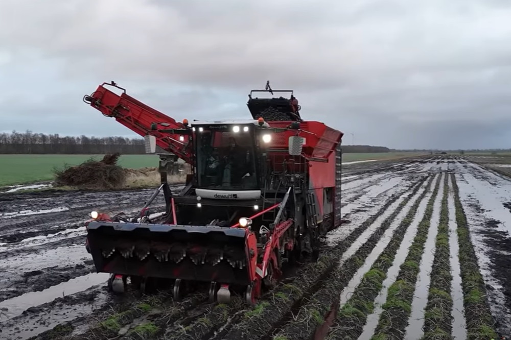Video: Aardappelen rooien onder zeer natte omstandigheden