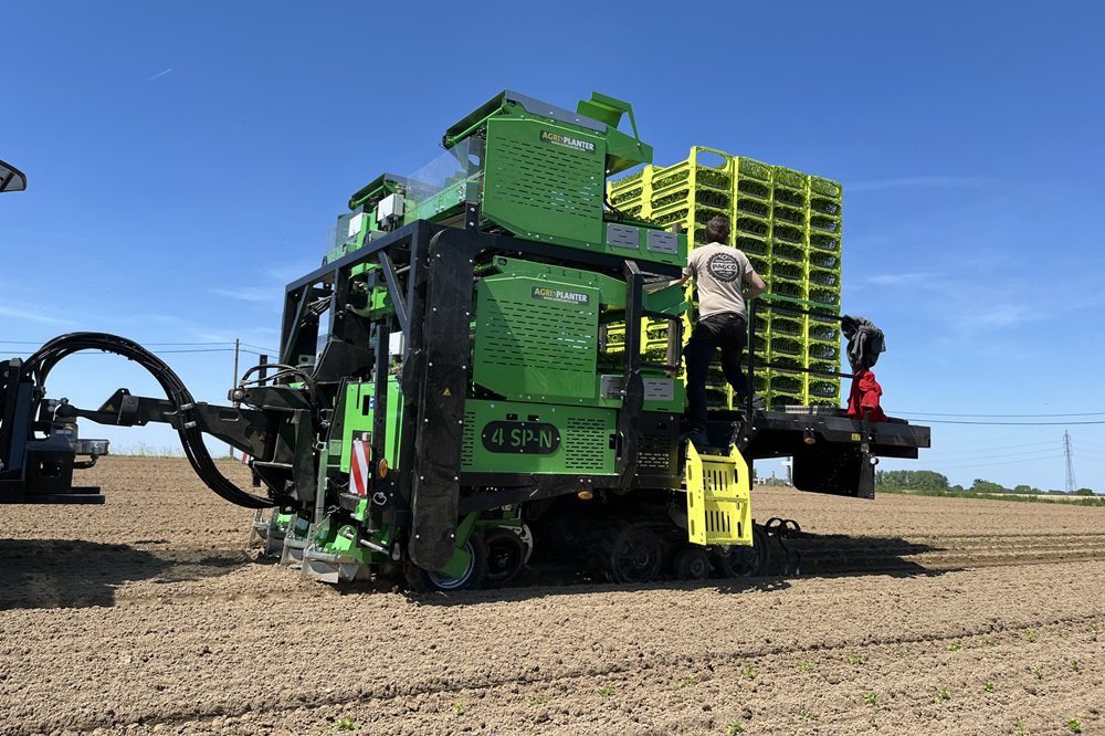 "Door uien te verplanten winnen we twee weken groei"