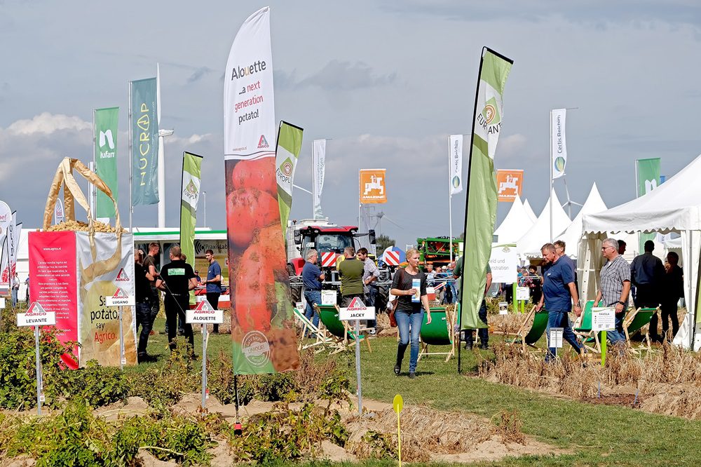 PotatoEurope: Demonstraties: uit de grond tot in de kisten