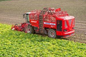 Suikerpercentage stabiel en grote verschillen in tarrapercentage