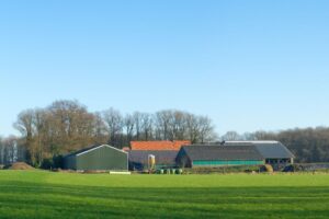 RaboResearch: Nederlandse landbouwsector krimpt vanaf 2026 jaarlijks