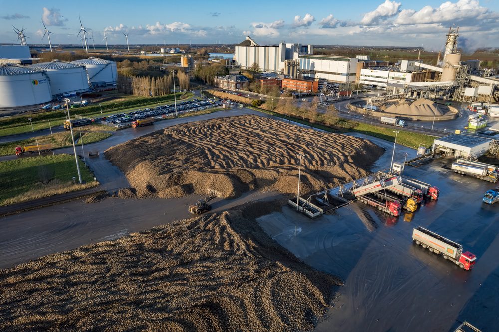 Bietencampagne 2025 afgerond met recordopbrengst
