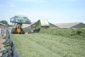 VisscherHolland introduceert inkuilmiddel Lacteolus voor gerichte beheersing van clostridiën