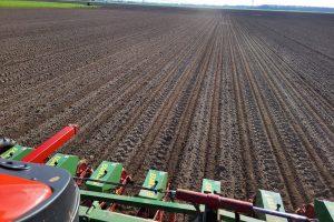 Zaaien van suikerbieten gaat goed door