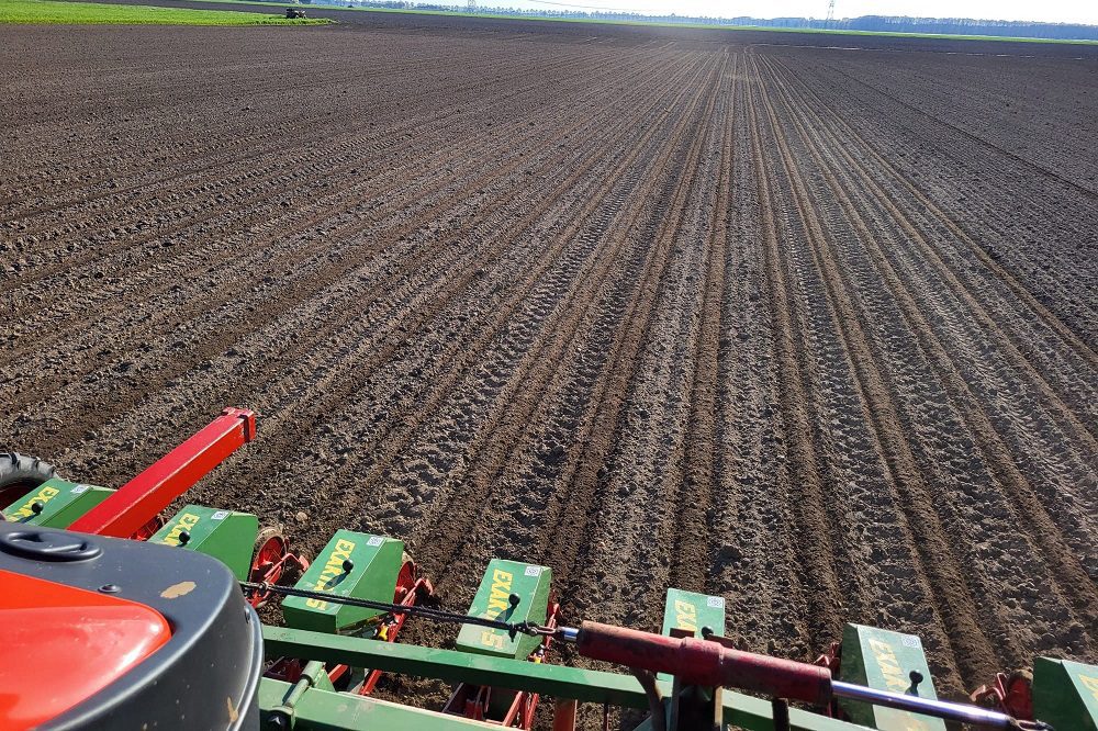 Zaaien van suikerbieten gaat goed door