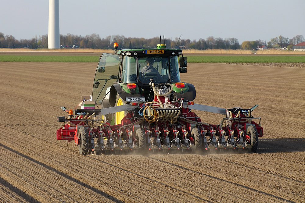 Heyboer: Precisiewerk met moederuien zaaien voor de zaadvermeerdering