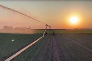 Droogte zet landbouw opnieuw onder druk: klimaatverandering versterkt watertekort