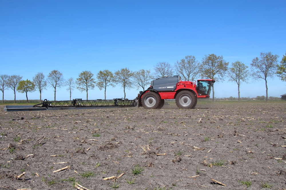 Het is (met name) de boom die het 'm doet